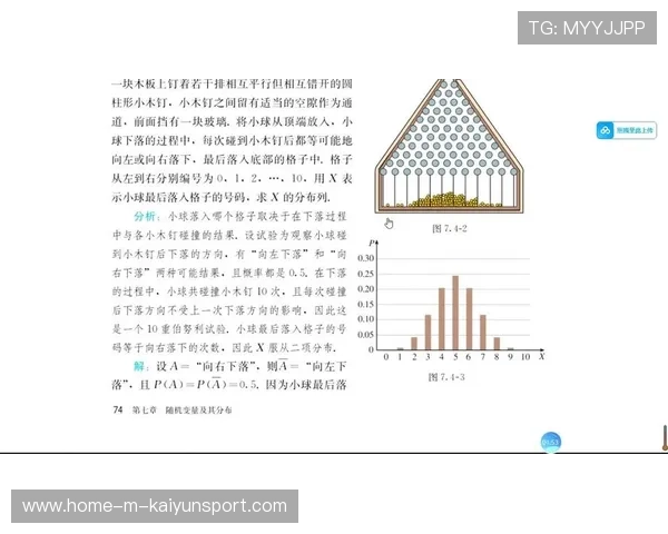 模型视角：胜负概率与要点剖析