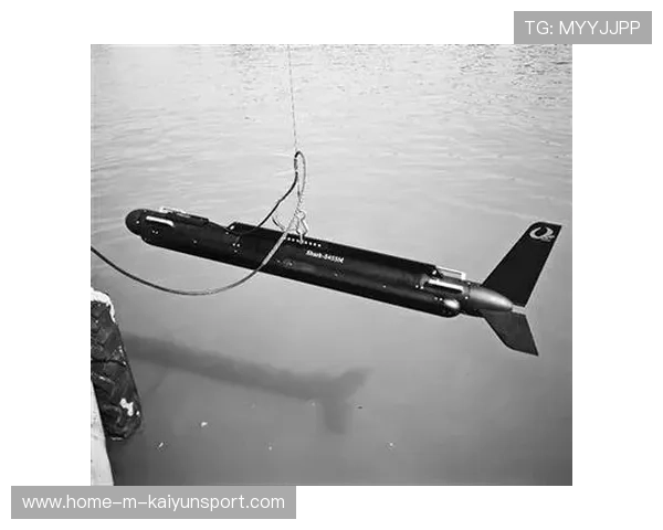 职业深海环境勘测员的冷静：他是如何通过声纳扫描勾勒海底地貌轮廓的