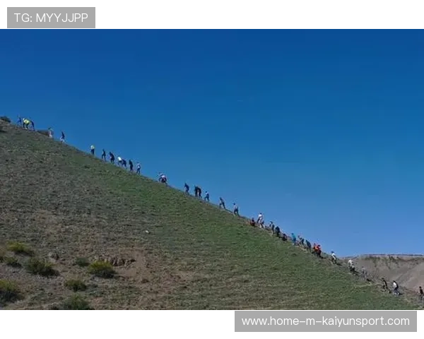 世界登山青年导师生态修复项目第69批结项成果发布，世界登山家